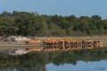 francoise_c brenne sept 2017 10